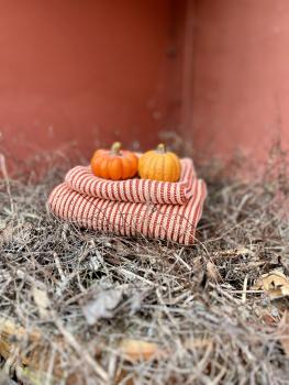 Terrakotta Farben BIO